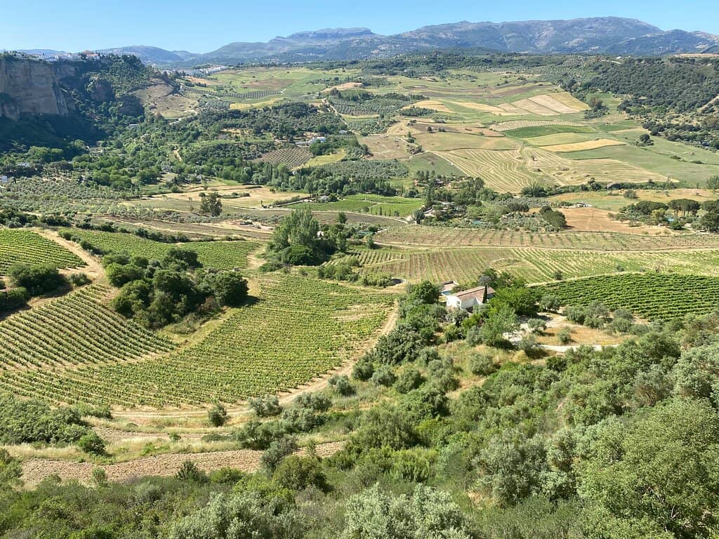 Stunning Landscape Views