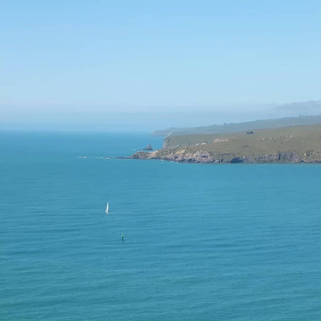 Seal Colony Spotting