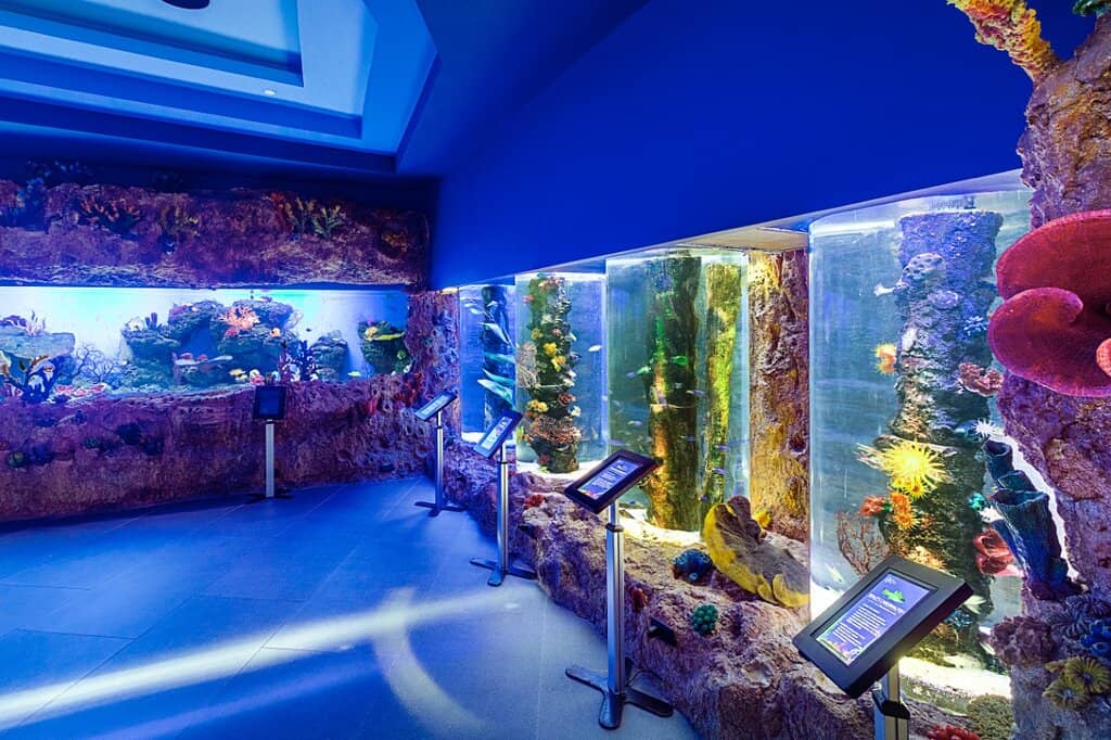 Aqua Dining Experience