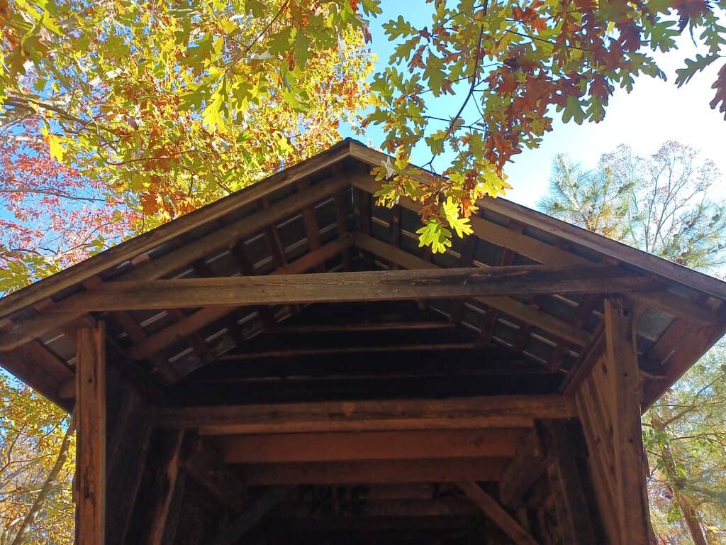 Peaceful Nature Walk