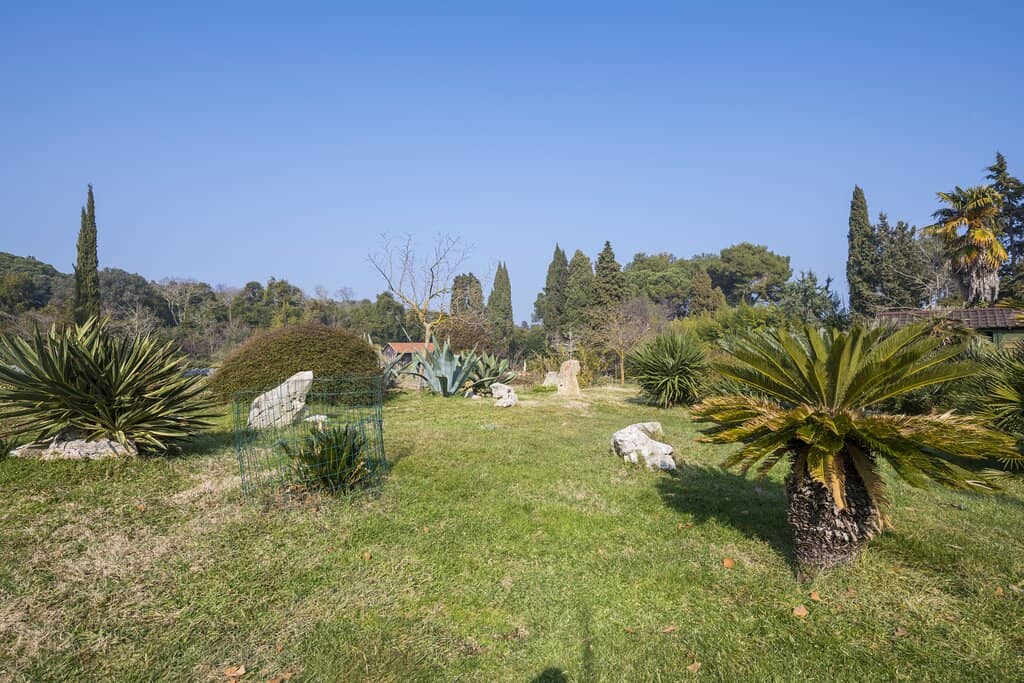 Safari Park Encounters