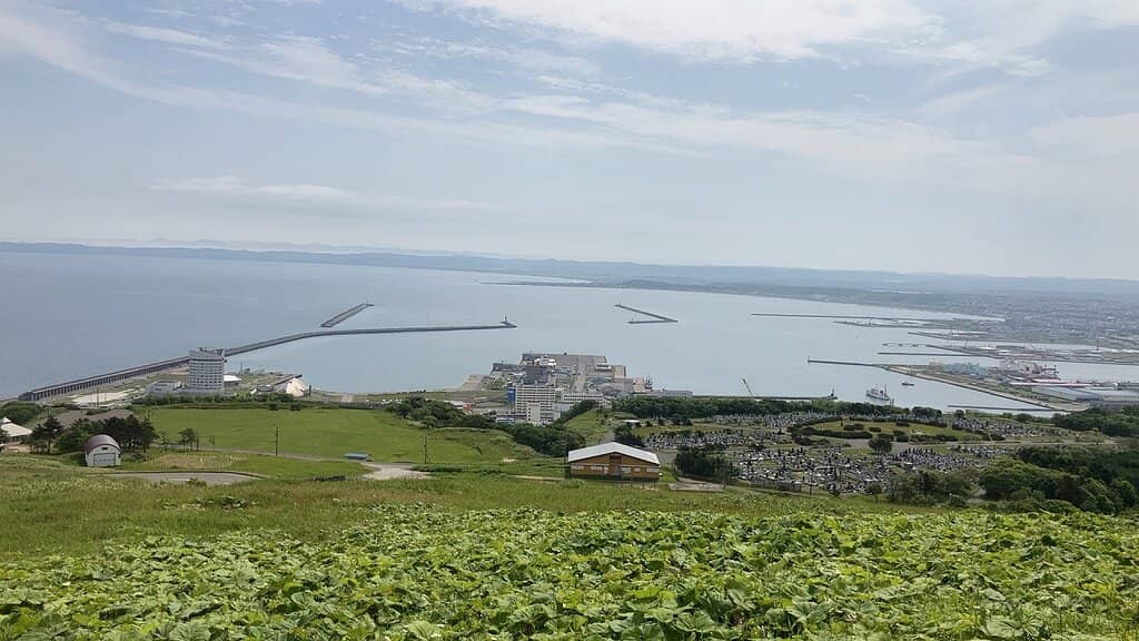 Local History Museum