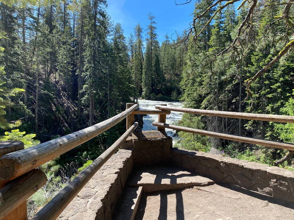 Birdwatching Opportunities