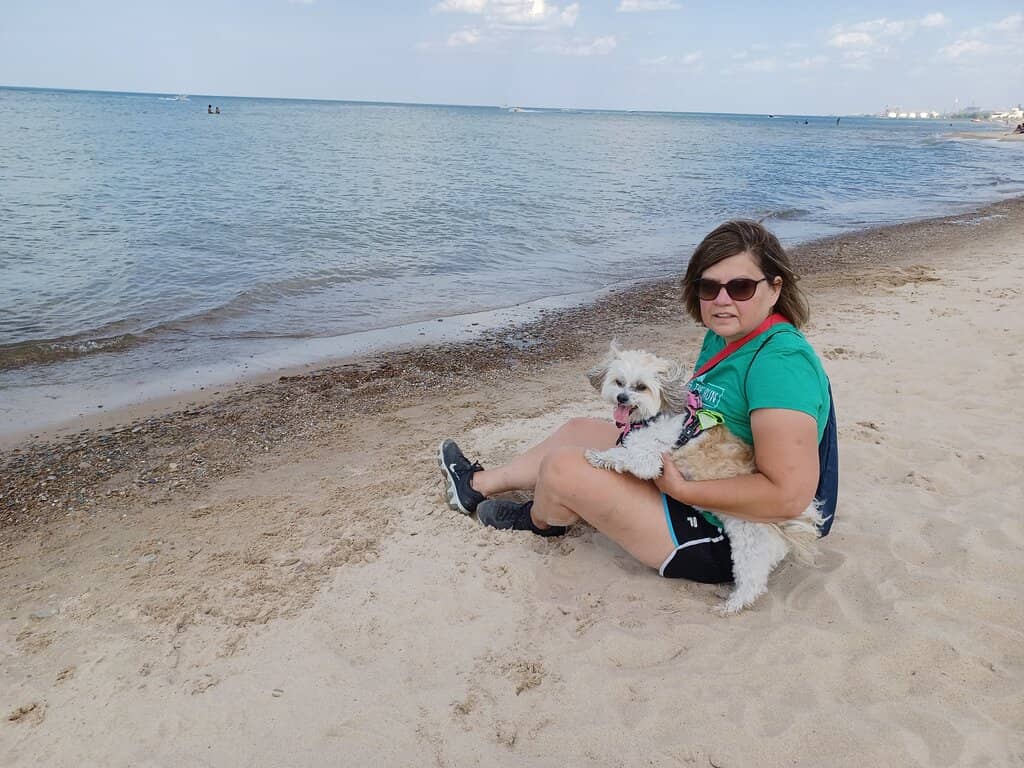 Lake Michigan Shoreline