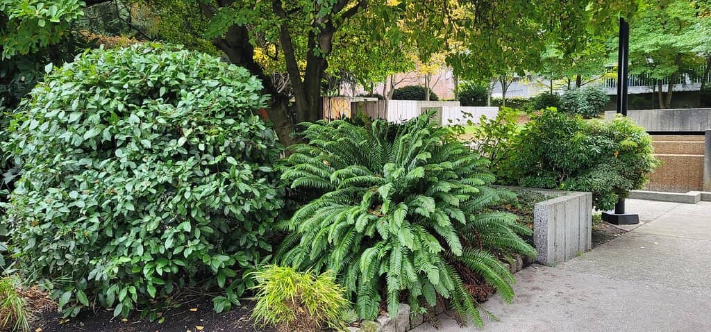 Lush Lawns and Walking Paths