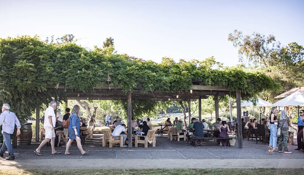 Exceptional Wine Tasting