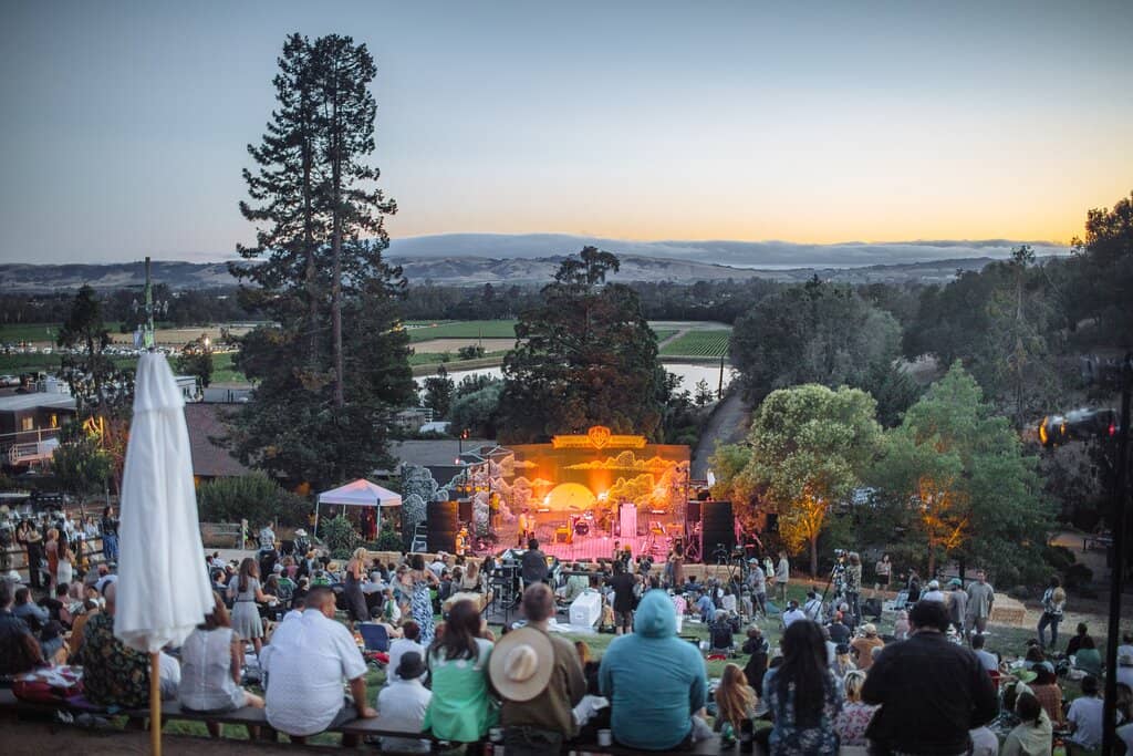 Rhinefarm Estate Vineyard