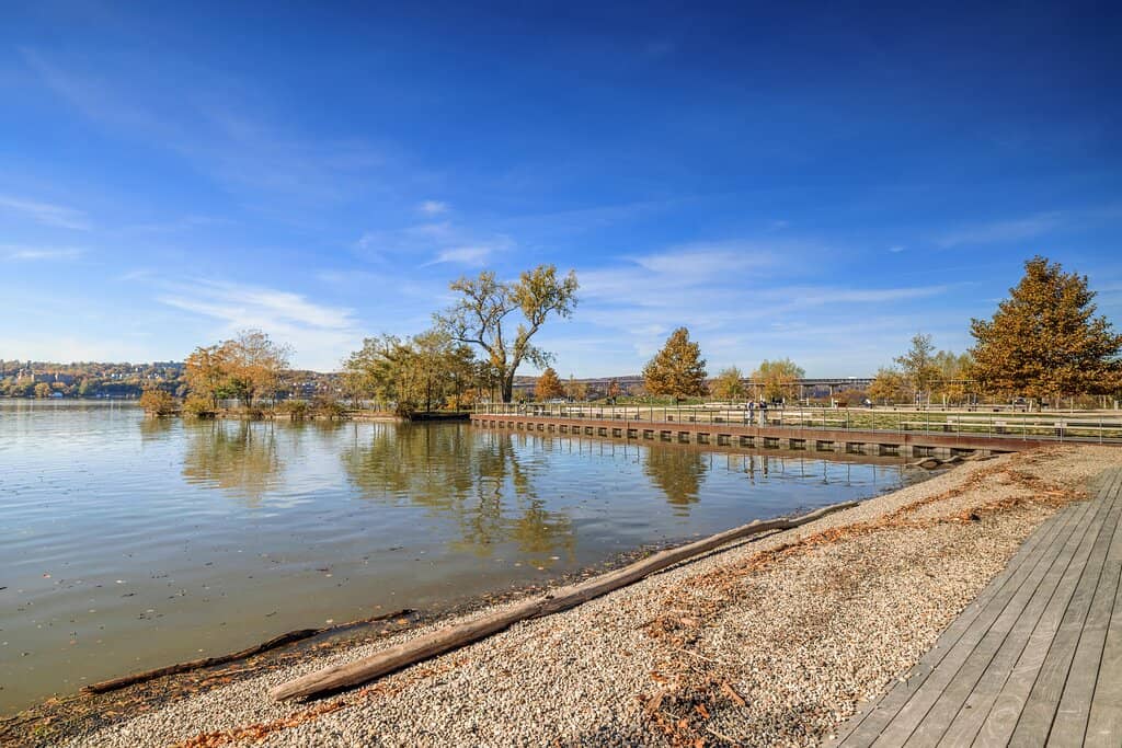 Rehabilitated Wetlands