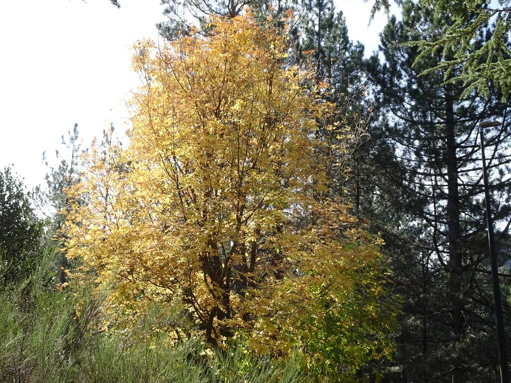 Abandoned Military Base