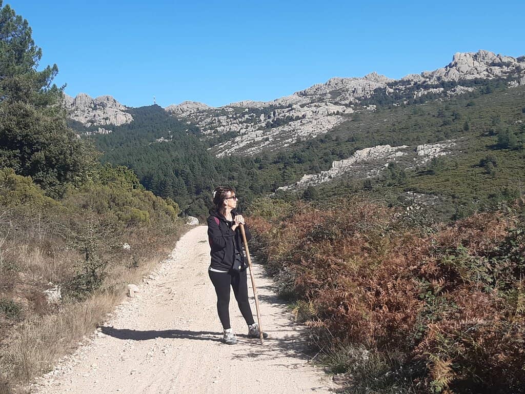 Panoramic Island Views