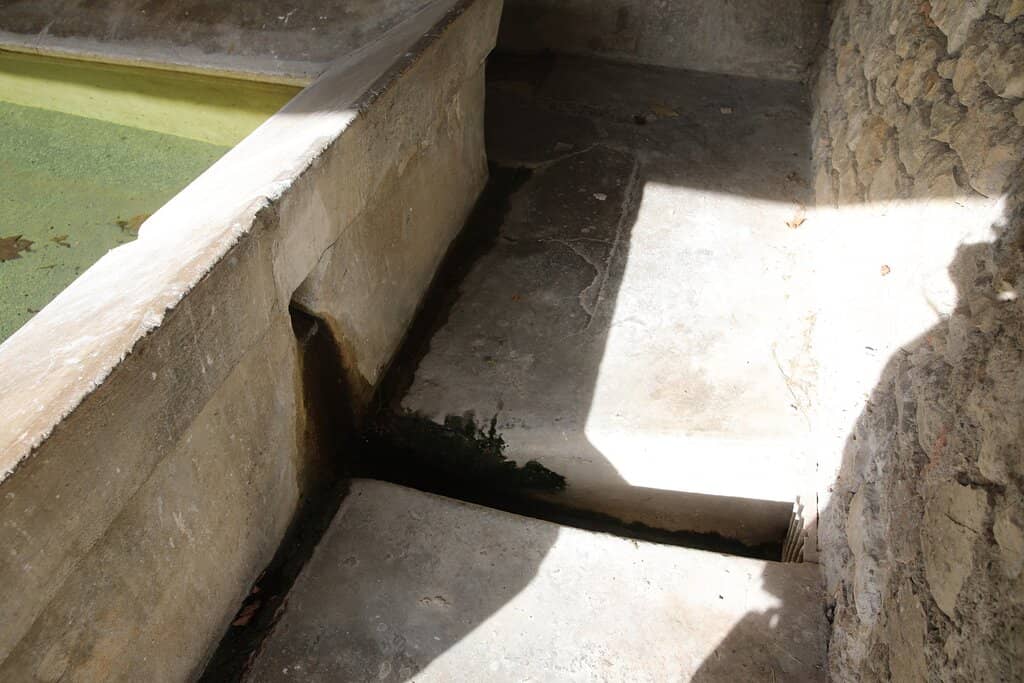 Dog-Friendly Promenade