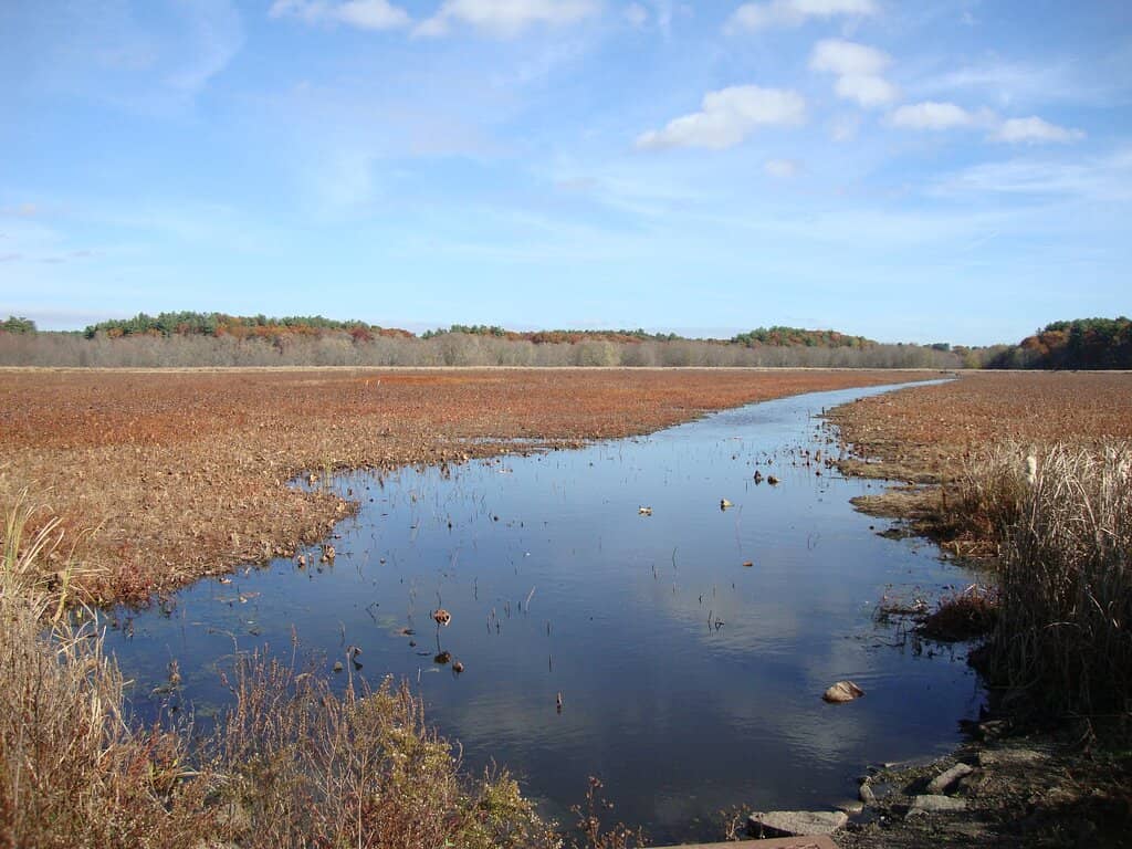 Birdwatching Paradise