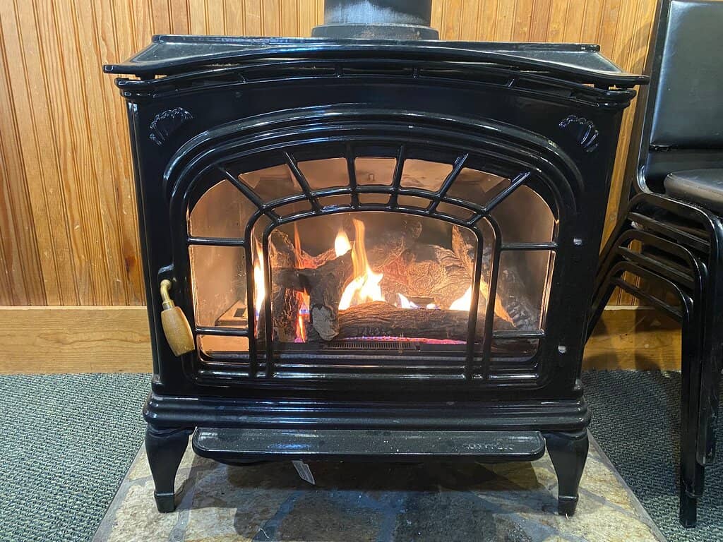 Flavorful Homemade Burgers & Onion Rings