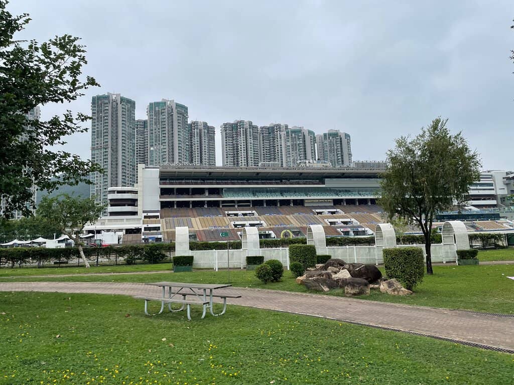 Pet-Friendly Environment