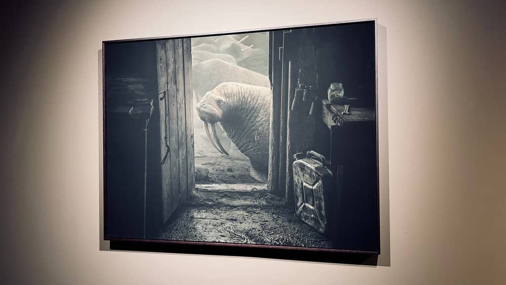 Cora Sandel Exhibition