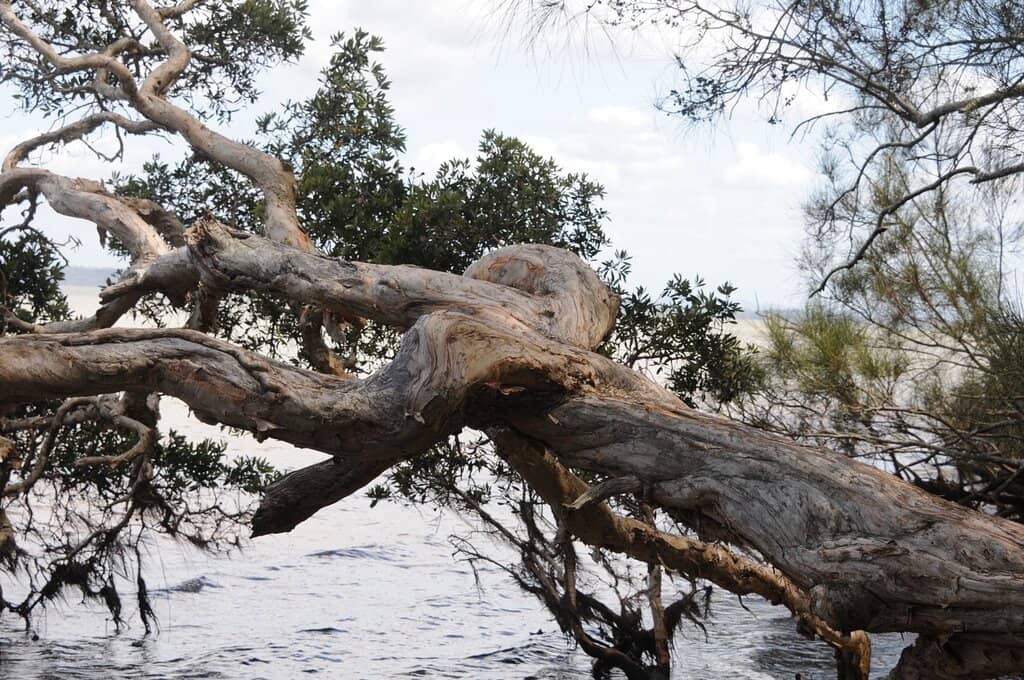 Bonnie Prince Charlie Statue