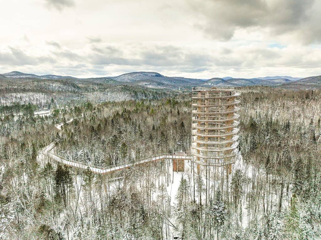 Elevated Treetop Walk