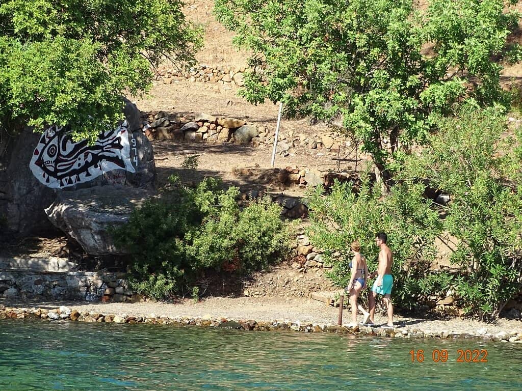 Pristine Waters for Swimming