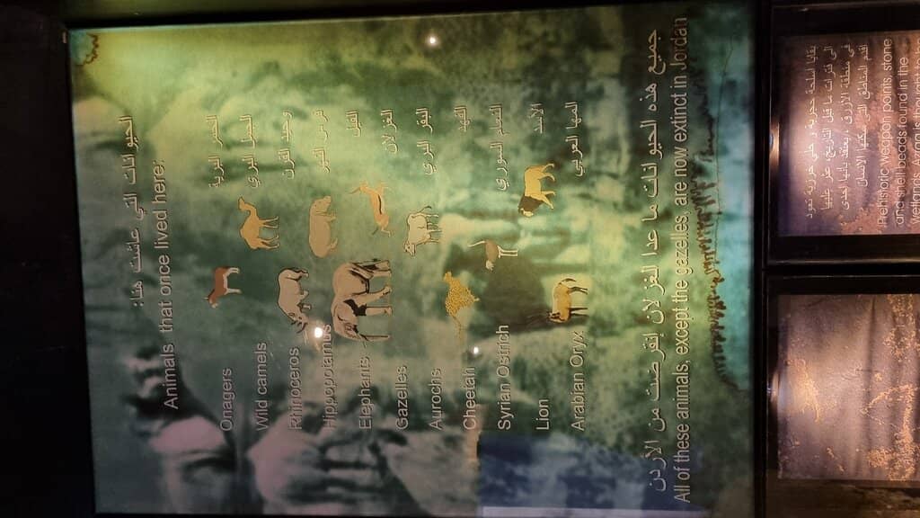 Water Buffalo Encounters