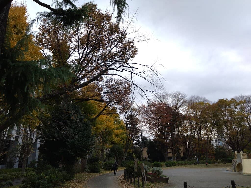 Sports Complex & Playgrounds