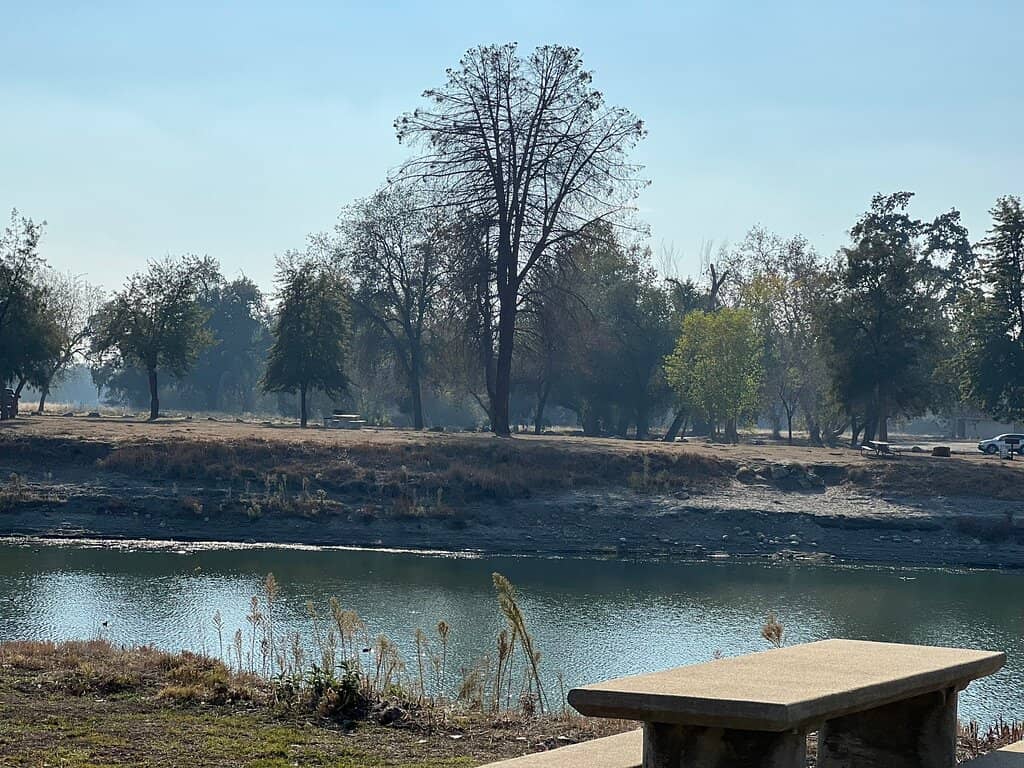 Family Fun & Picnics