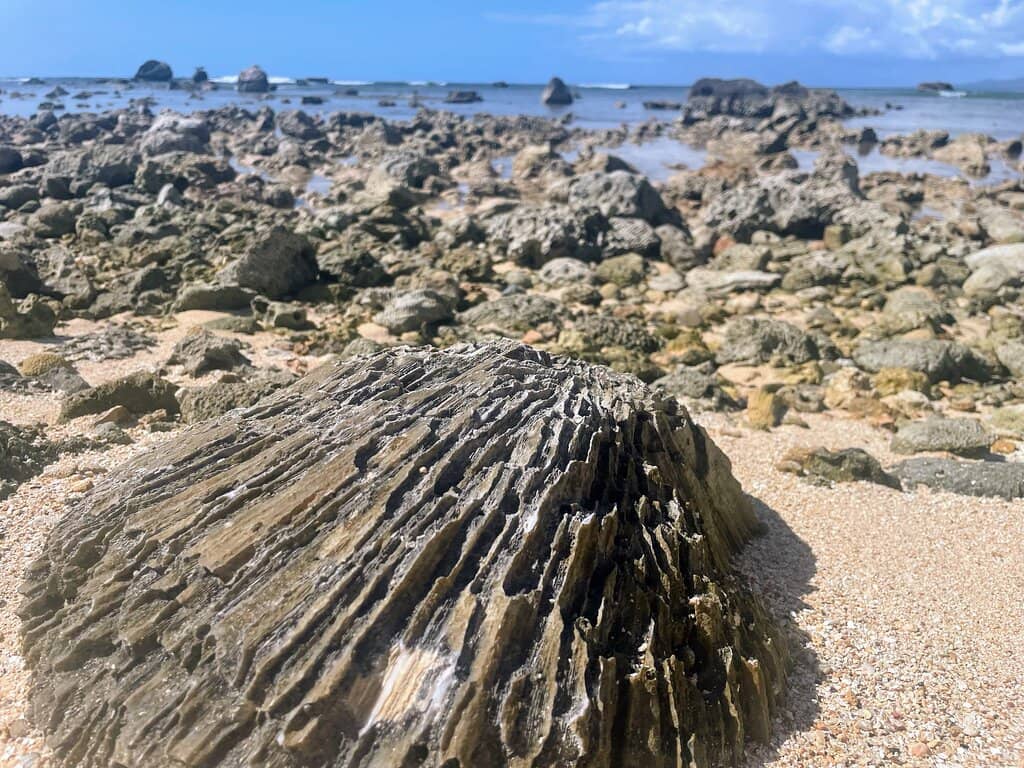 Vibrant Snorkeling Spots