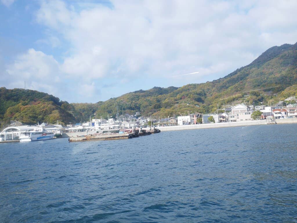 Scenic Bridge Viewpoints