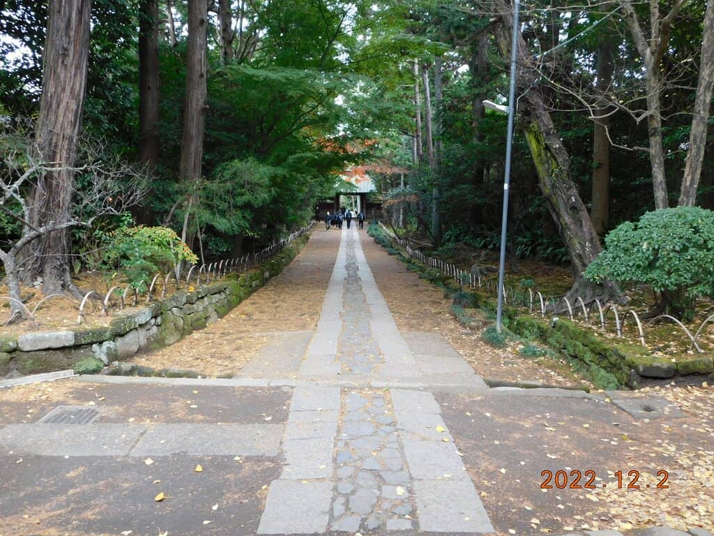 Hokoku-ji Temple (Bamboo Garden)