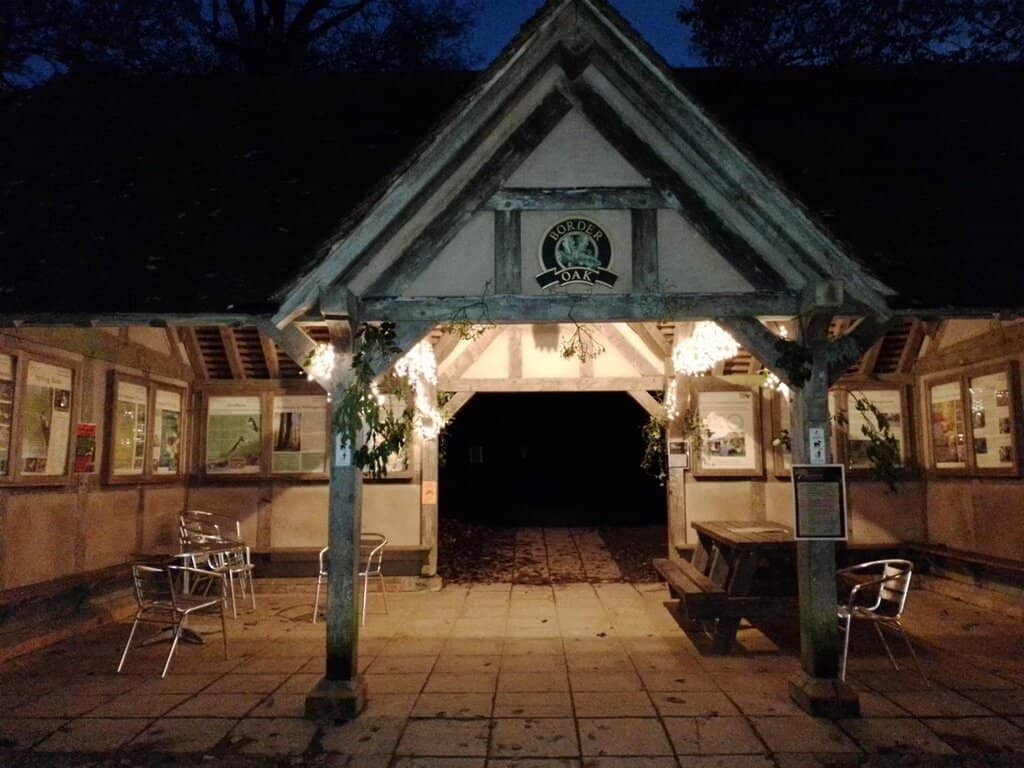 Giant Redwood Section