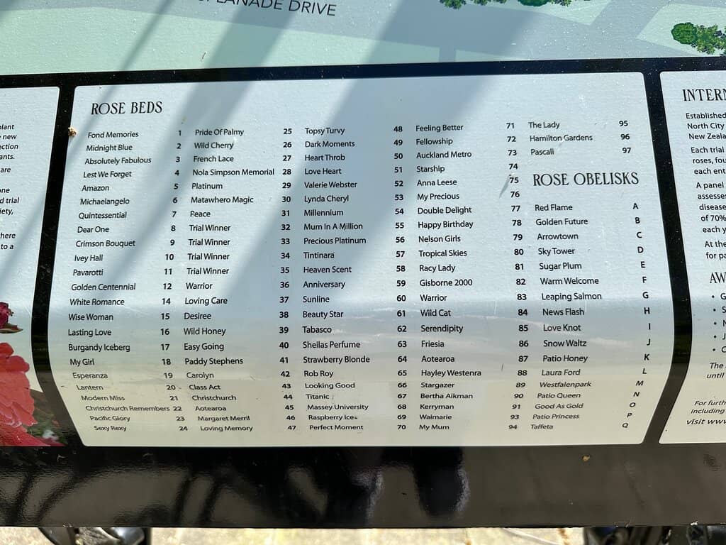 Diverse Rose Collections