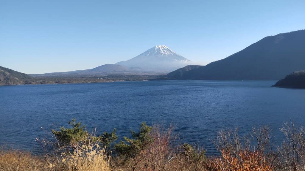 Tranquil Lakeside Camping