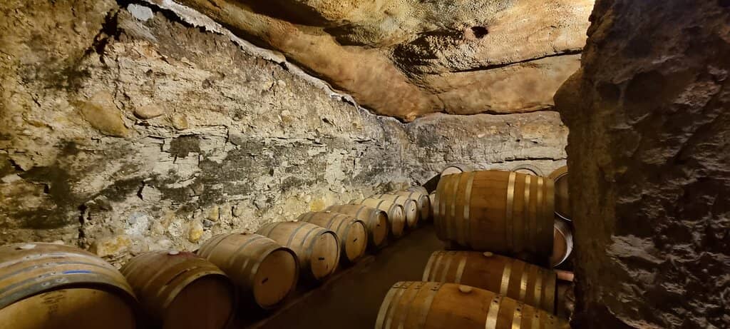 Vibrant Artistic Murals