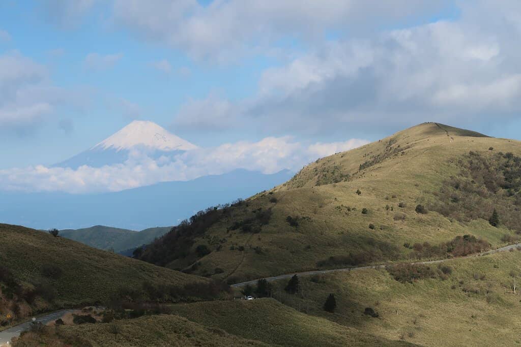 Kuma Bamboo Grass Trails