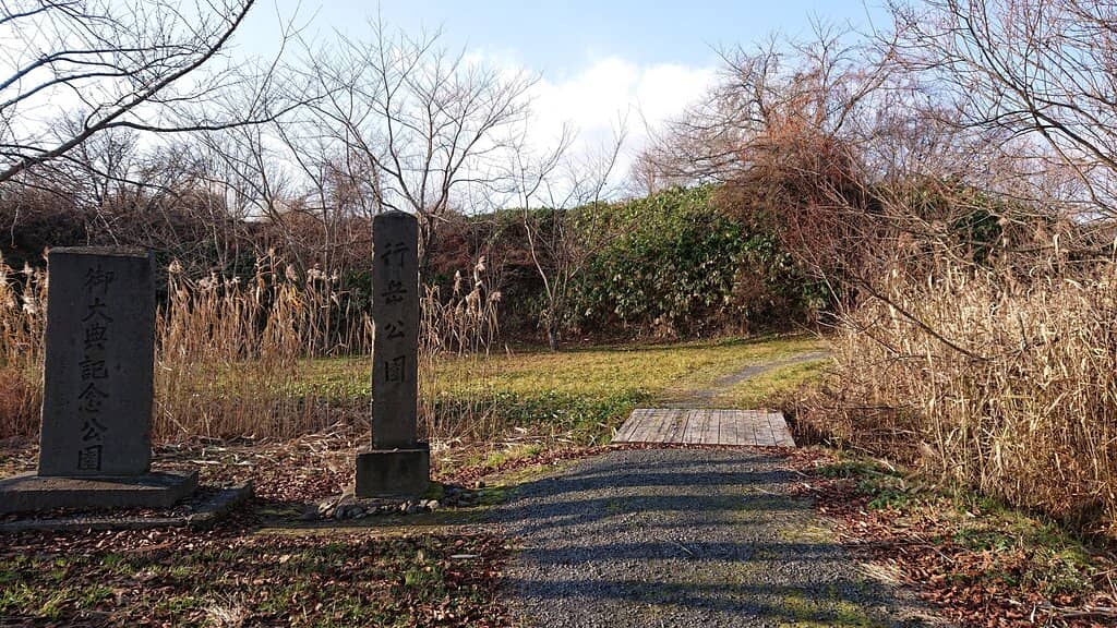 Cherry Blossom Blooms