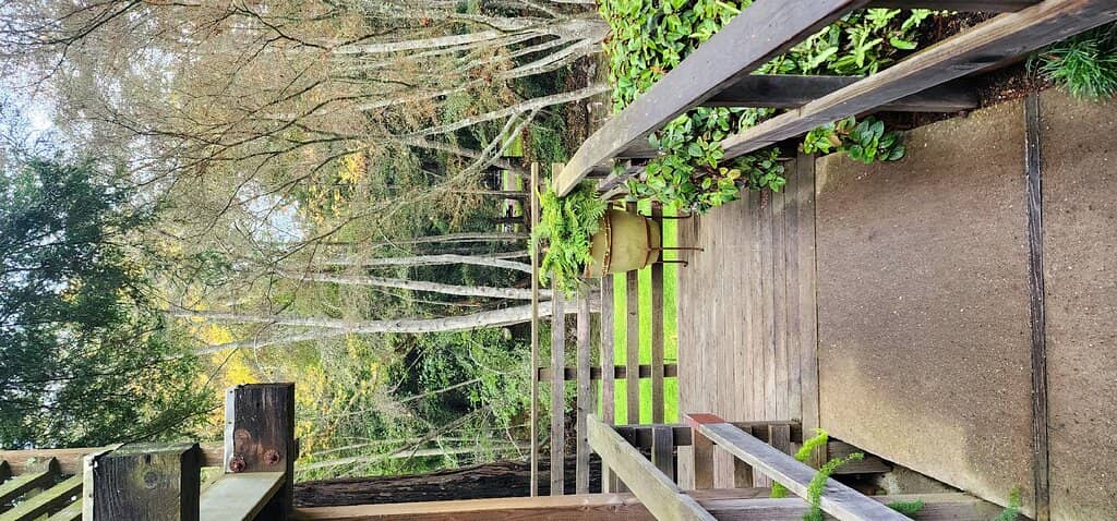 Eclectic Atmosphere & Live Music