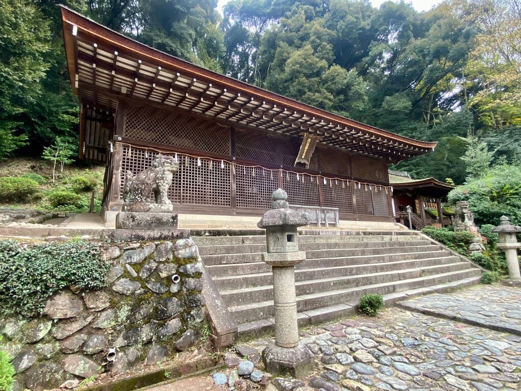 Tranquil Forest Setting