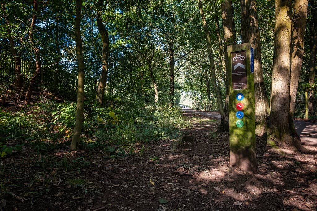 Magical Bluebell Woods