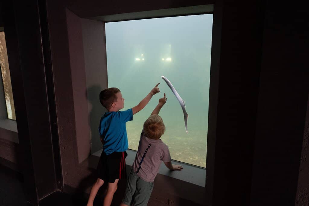 Outdoor Playground & Picnic Areas