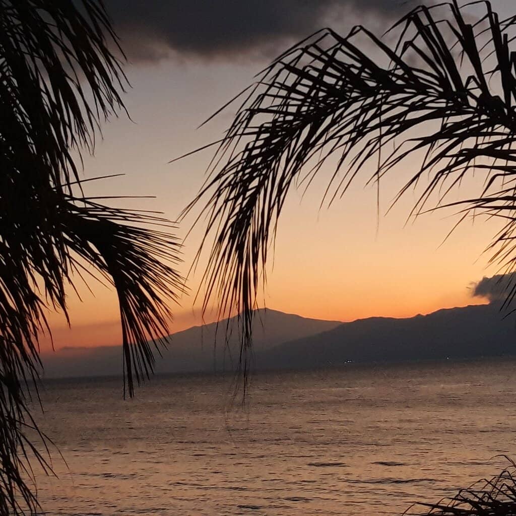 Local Festivals & Events