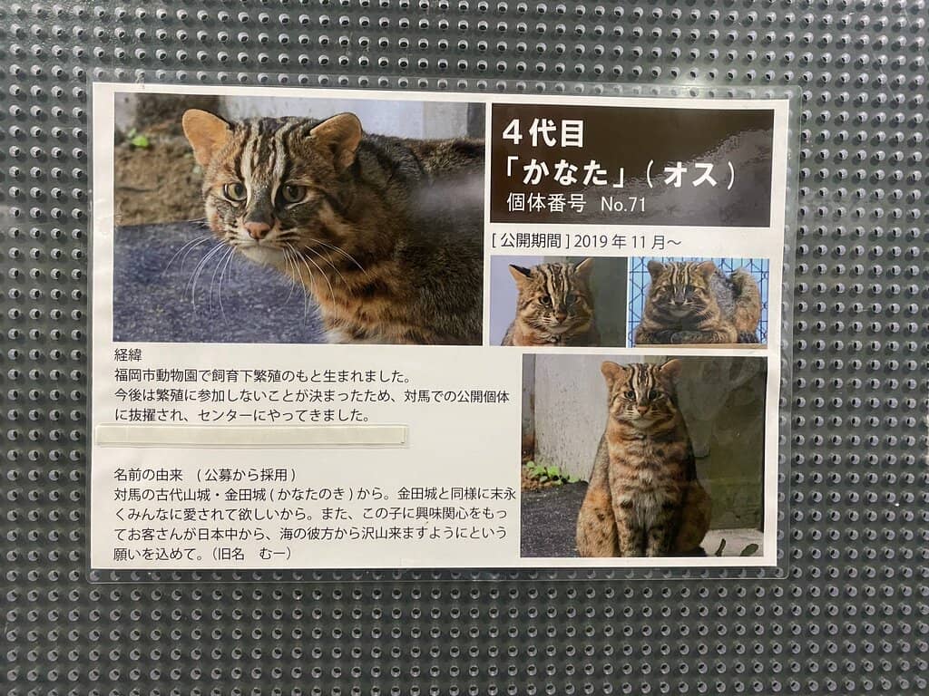 Local Wildlife Information