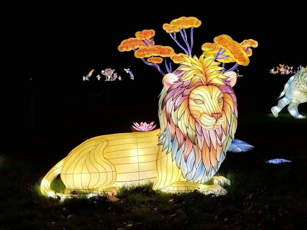 Children's Play Areas