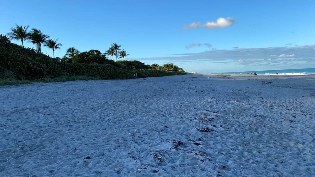 Abundant Shells for Sniffing