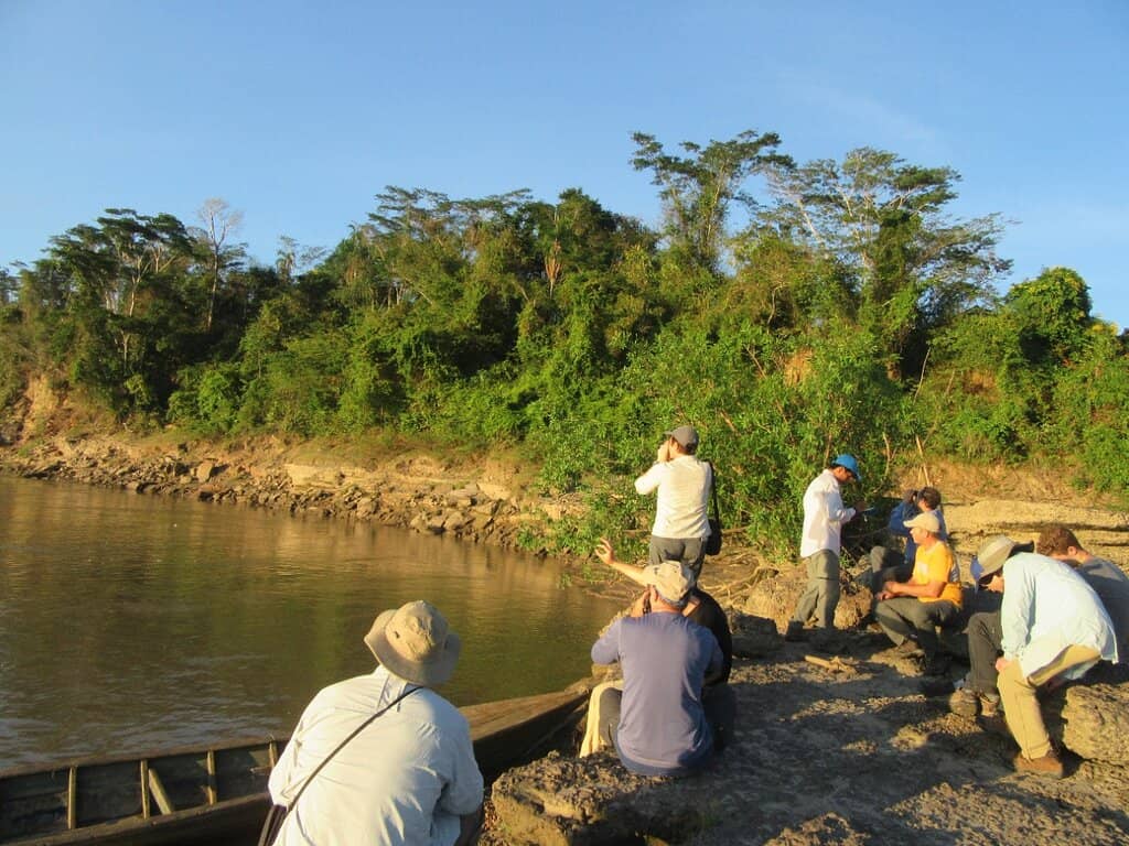 Incredible Birdwatching Opportunities