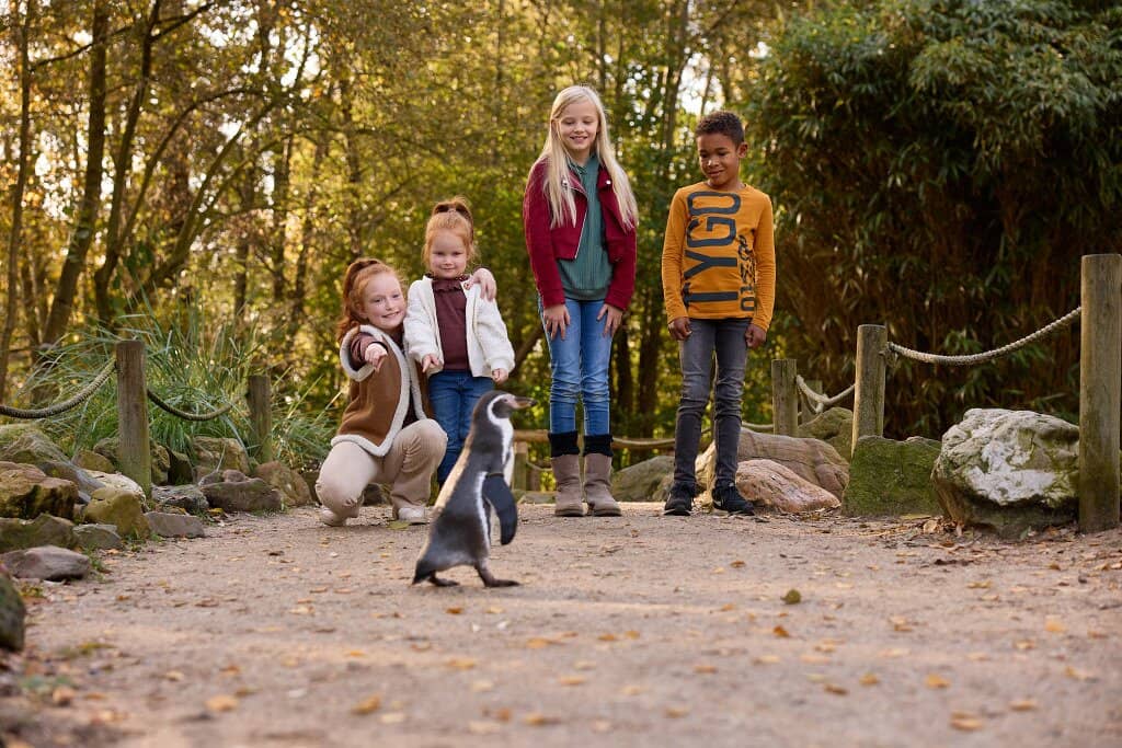 Adorable Otter Family