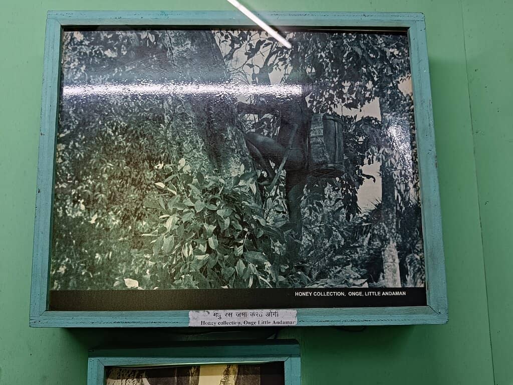 Lavras e Louvores Exhibition