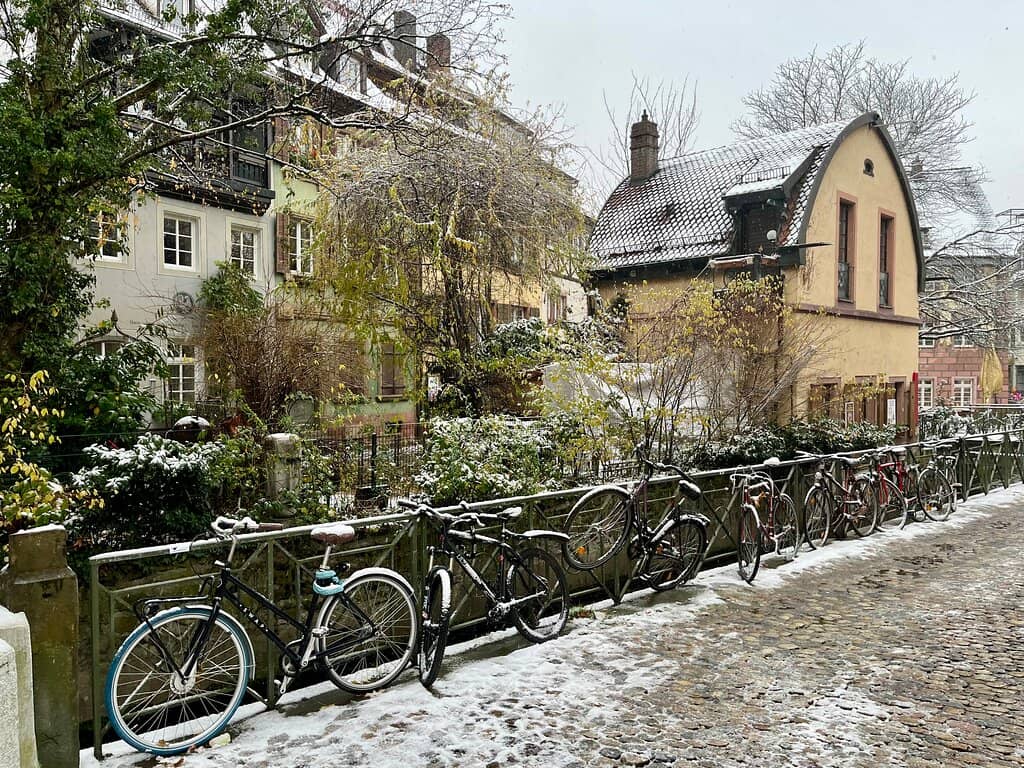 Street Food Delights