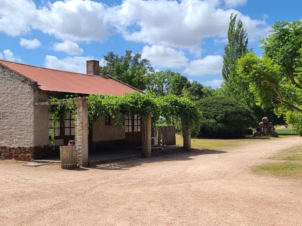 Informative Vineyard Tour