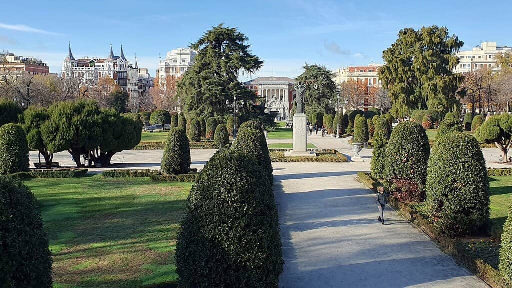 Vibrant Flower Displays