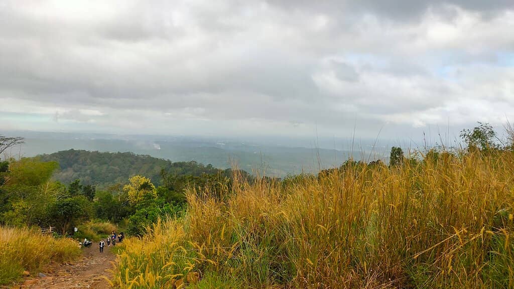 Coastal Clean-up Drives
