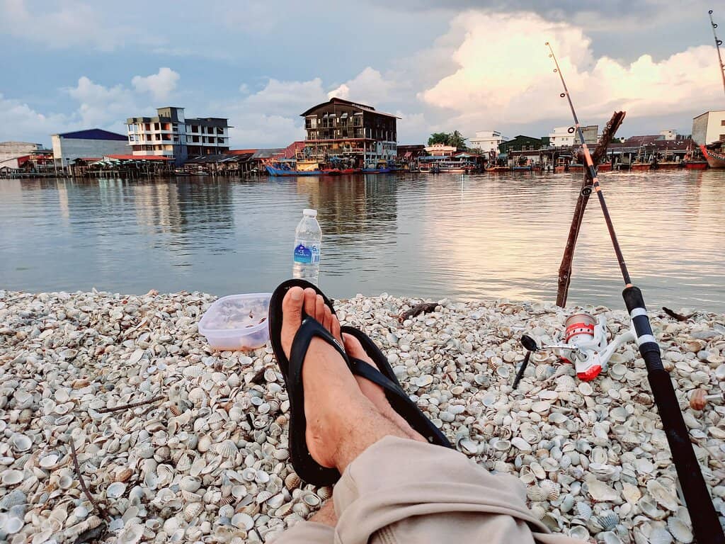 Mangrove Forest Exploration